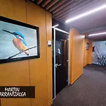 Urdaibai Bird Center