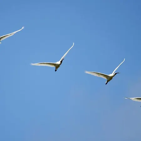 Urdaibai Bird Center