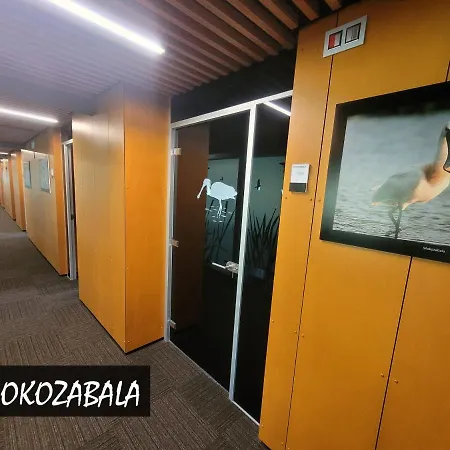 Urdaibai Bird Center