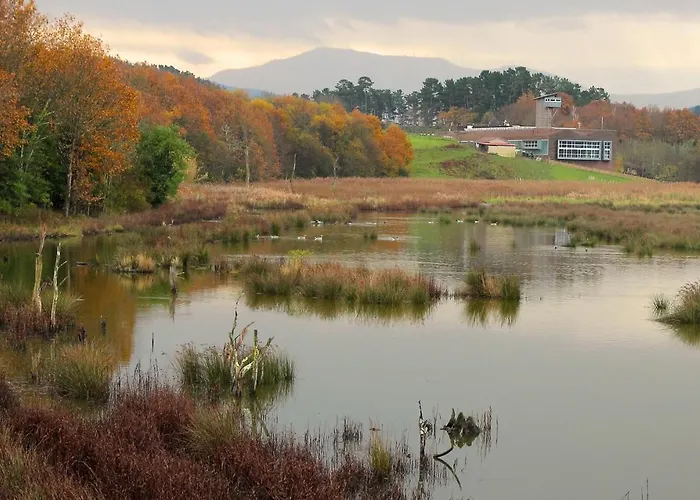 Urdaibai Bird Center Hotel Gautegiz Arteaga