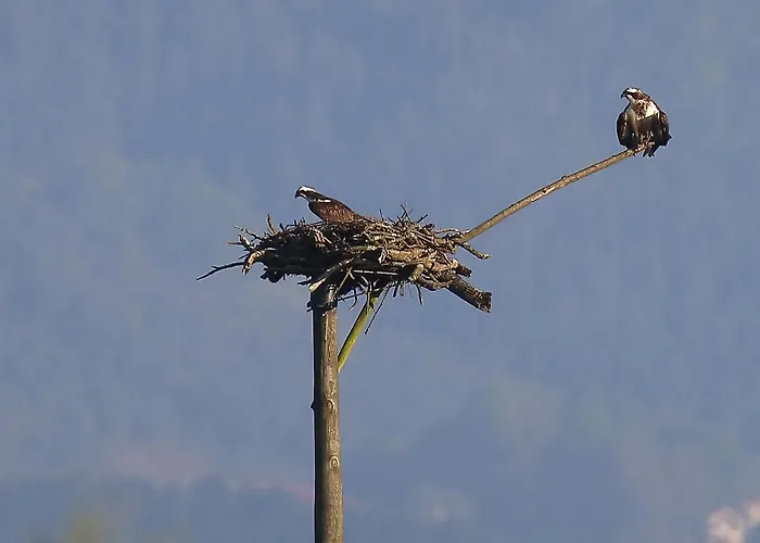 Hotel Urdaibai Bird Center