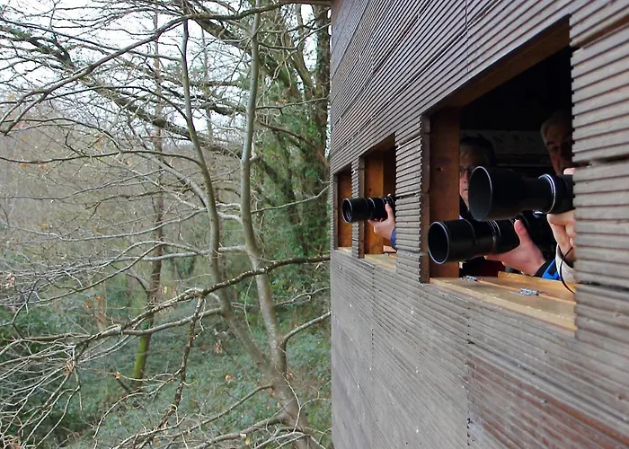 Urdaibai Bird Center Gautegiz Arteaga