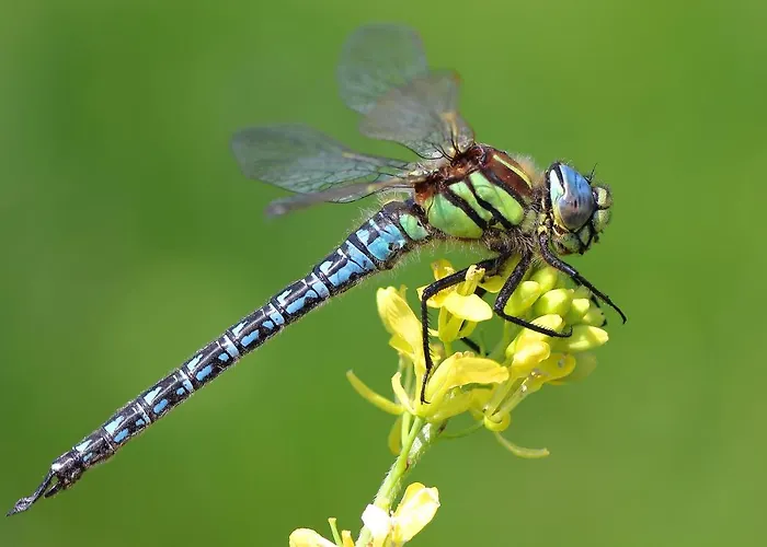 Hotel Urdaibai Bird Center *