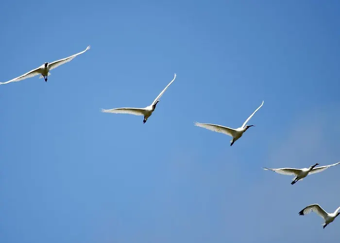 Urdaibai Bird Center