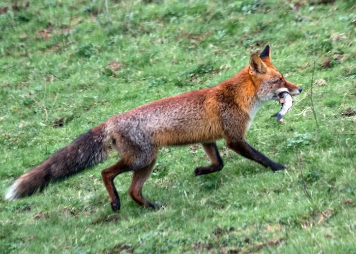 Urdaibai Bird Center Hotel *