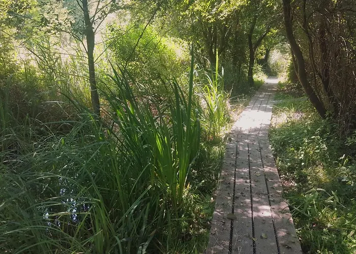 Urdaibai Bird Center * Gautegiz Arteaga
