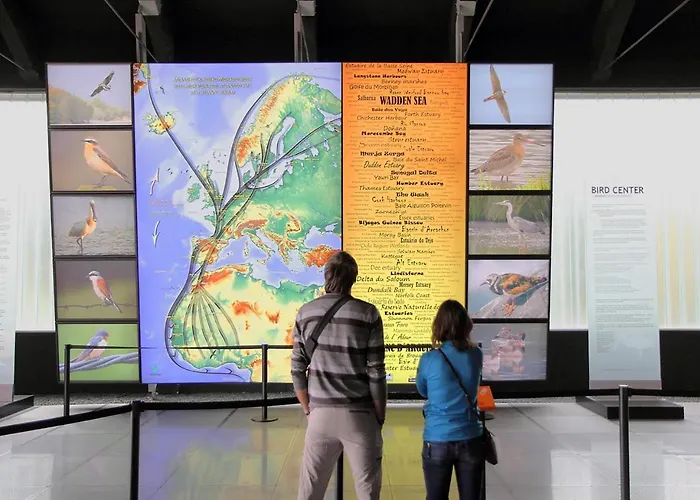 Urdaibai Bird Center Gautegiz Arteaga