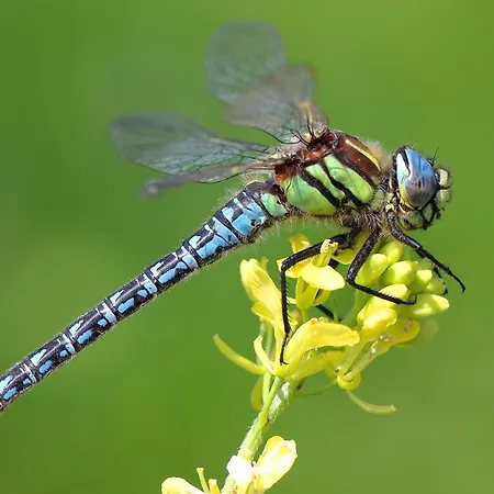 호텔 Urdaibai Bird Center *