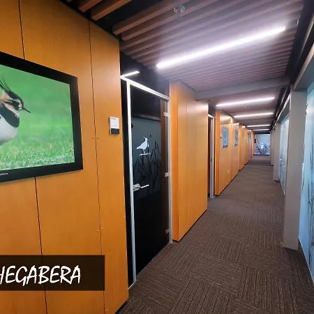 Urdaibai Bird Center