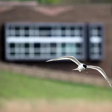 Urdaibai Bird Center מלון Gautegiz Arteaga