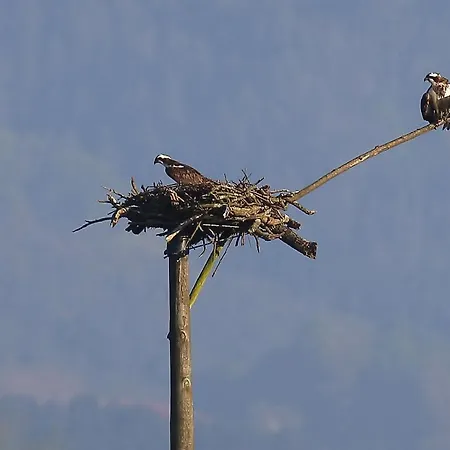 מלון Urdaibai Bird Center