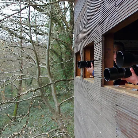 Urdaibai Bird Center Gautegiz Arteaga