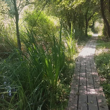 Urdaibai Bird Center * Gautegiz Arteaga