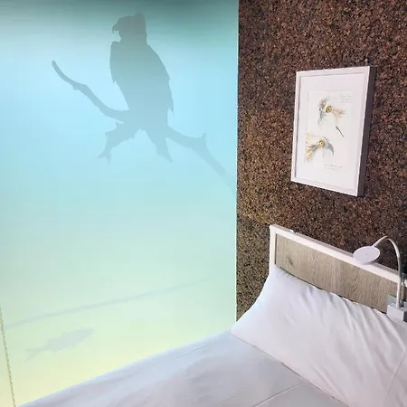 מלון Urdaibai Bird Center *