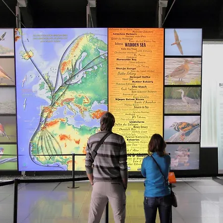 Urdaibai Bird Center Gautegiz Arteaga